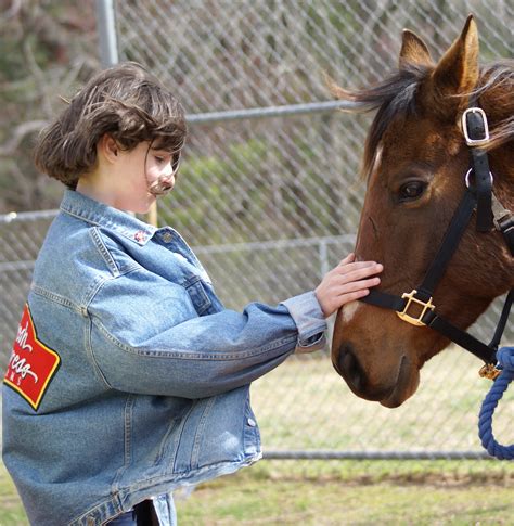 brecht stables & dustin's place|Brecht Stables & Dustin’s Place .